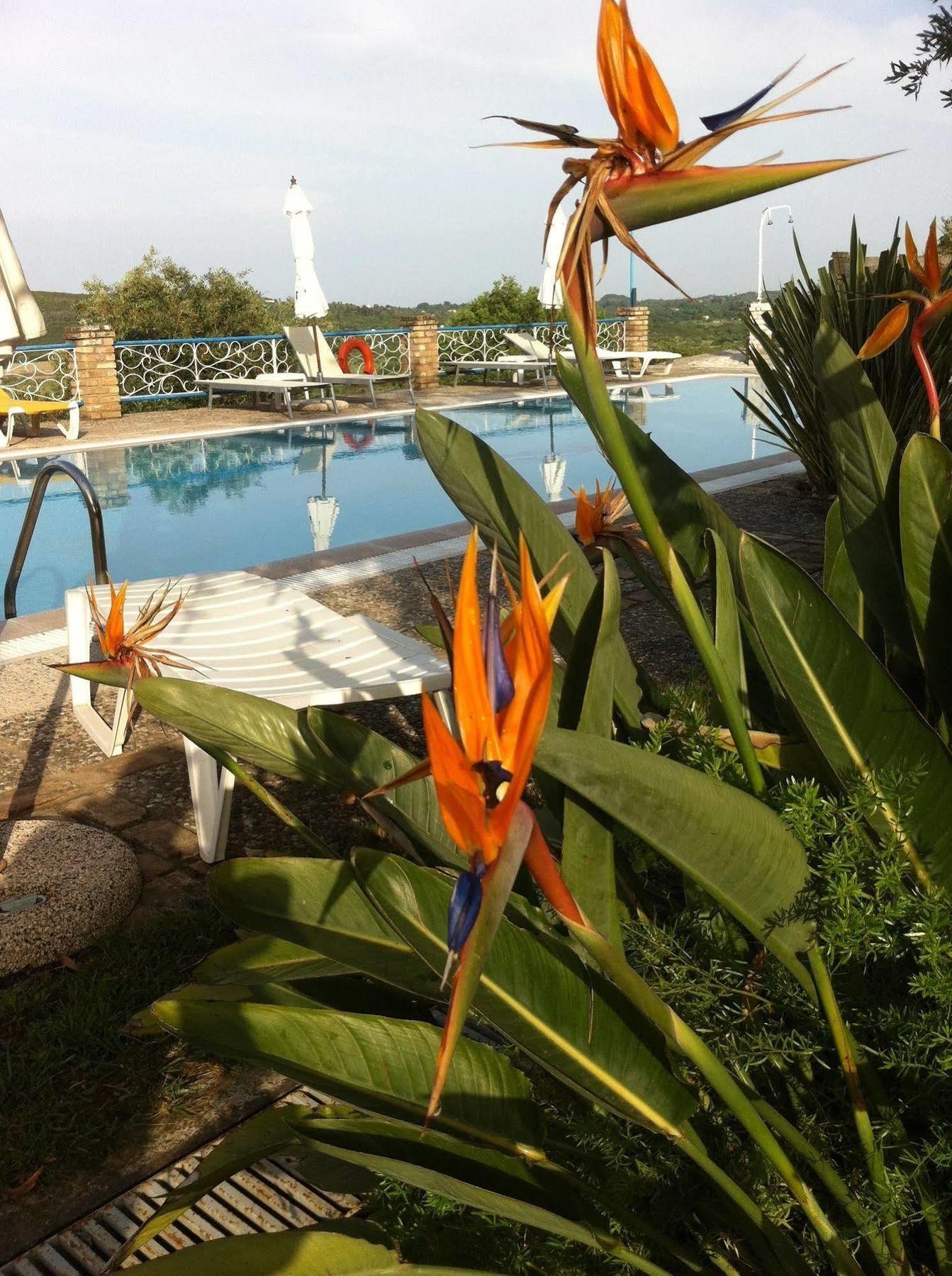 Fundana Villas Kanakádes エクステリア 写真